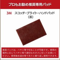 ビアンコジャパン 墓石・御影石汚れ解消2点セット gs-101_set300_cha 1セット