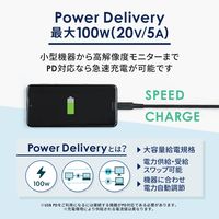 USBケーブル - USB（C）[オス] 1m 100W PD対応 3.2Gen2 ブラック オウルテック