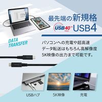 USB4ケーブル - USB（C）[オス] 0.8m 100W 40Gbps ブラック オウルテック 1本