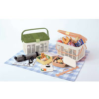 サンコープラスチック レジャーバスケット リオバスケット NO8 369148 1個