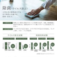 MSソリューションズ 消臭・除菌スプレー Botanisch(ボタニッシュ)300ml PL-DS01BT300 1本