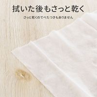 MSソリューションズ 除菌ウェットティッシュ 80枚入り PL-DW01WH80 1個