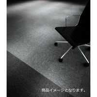 スミノエ タイルカーペット PX-3010 500×500mm 4955141333462 1枚