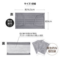 医食同源ドットコム SPUN MASK スパンレース　グレー40枚入 1箱（40枚入）