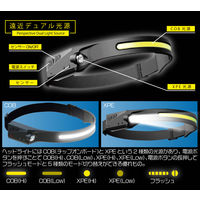 ヒロ・コーポレーション 充電式デュアルヘッドライト HDL-DHL01 1台