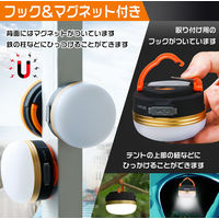 グリーンクロス LEDランタン 2個セット 6300025691 1台