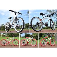 池商 クロスバイク 6SP GR-001K24-BKBL（直送品）