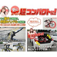 池商 折りたたみ自転車20・6SP・リアサス GR-777-WHGR　1（直送品）