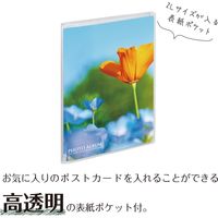 セキセイ ミニポケ フォトアルバム〈高透明〉 2Lサイズ タテ 20枚 KP-7007-90 1セット(10冊)