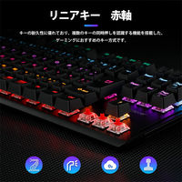 ゲーミングキーボード 有線 赤軸 テンキーレス 日本語配列 91キー メカニカルスイッチ G01 1個 iClever