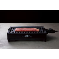 アピックスインターナショナル 減煙グリルプレート「肉祭り」 ブラック 焼肉 BBQ ステーキ １～２人用 AGP-230 1台（直送品）