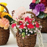 ヘッズ 母の日アクリルフラワーピック-4/シャインピンク 50本(10本×5) MA-PFP4 1セット(50本入)（直送品）