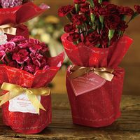 ヘッズ 母の日ワンタッチタッグ付ゴムリボン-6 100個(20個×5) MA-TGR6 1セット(100個入)（直送品）