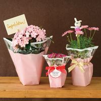 ヘッズ シルキーピンクOPPポットカバー-6 250枚(50枚×5) SIP-PI6 1セット(250枚入)（直送品）