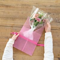 ヘッズ ホワイトブーケギフトOPPバッグ-2 250枚(50枚×5) WH-BOP2 1セット(250枚入)（直送品）