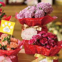 ヘッズ フラワーリースワンタッチタッグ付ゴムリボン-1 100個(20個×5) WRH-TGR1 1セット(100個入)（直送品）