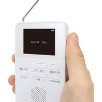 STAYERホールディングス ワンセグＴＶ　２インチ乾電池式　ＳＨーＧＤＴＶーＤＣ　1台（直送品）