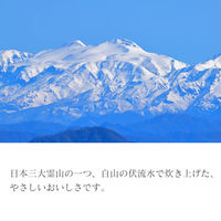 パックごはん 加賀飯 200gタイプ1セット(36食入)