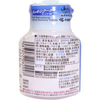 噛むブレスケア 息リフレッシュグミ スッキリクールミント ボトルタイプ お得な80粒 1個 小林製薬