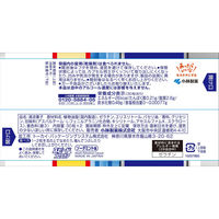 スピードブレスケア プチッと瞬間息リフレッシュ ソーダミント 1セット（30粒×2個×2パック） 小林製薬