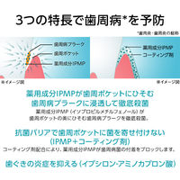 マウスウォッシュ ボトル システマEX デンタルリンス ノンアルコール 450mL 1セット（2本） 殺菌 歯周病予防 ライオン