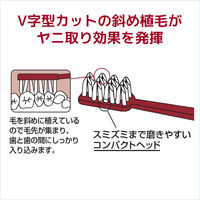 ラーク ハブラシ コンパクト かため 1セット（3本） サンスター LARK 歯ブラシ タバコのヤニ ステイン はぶらし