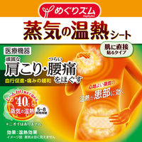 めぐりズム蒸気の温熱シート　無香料　1セット（16枚入×2箱）　花王