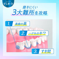 歯ブラシ ピュオーラ ハブラシ コンパクトスリム ふつう 1セット（6本）花王