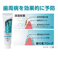 システマ ハンディセット（携帯用ハミガキ・ハブラシセット）2個 ライオン トラベル用 持ち運び