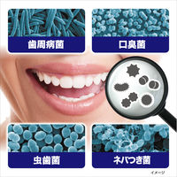 ゼローラ モーニングウォッシュ 殺菌 トータルケア 歯周病・虫歯・口臭予防 450mL 1セット（3本）【医薬部外品】 小林製薬