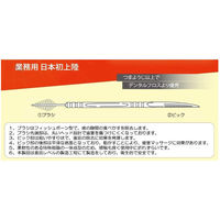 ドクターズ ブラッシュピックス 歯間ピック120本入り 携帯用つまようじ デンタルコンセプト