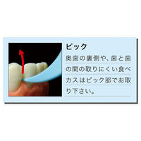 デンタルフロス デイリー デンタルフロス ようじタイプN 50本入 エビス