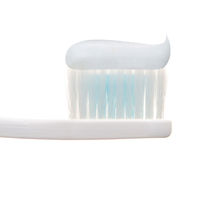 デントヘルス 薬用ハミガキ 口臭ブロック 28g ライオン 歯磨き粉 歯周病予防