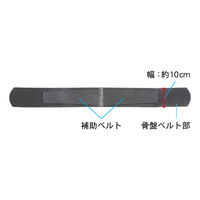 山田式 骨盤ストロングベルト M 1個 ミノウラ　腰サポーター