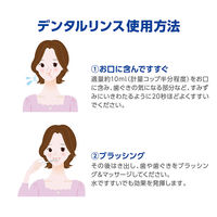 デントヘルス 薬用デンタルリンス マウスウォッシュ 450ml   殺菌 歯槽膿漏予防 アルコールタイプ 洗口液 ライオン