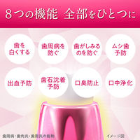 歯磨き粉 ホワイトニング システマ ハグキプラス プレミアムハミガキ シルキーフローラルミント 95g 1セット（2本）ライオン