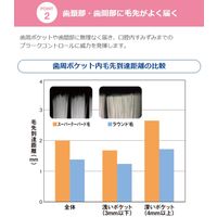 歯科医院取扱品 DENT.systema（デントシステマ） 42M 1セット（20本） ライオン(LION) 歯ブラシ