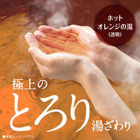 入浴剤 温泉成分 温浴 バスロマン プレミアム 発汗保温浴 ホットハーブの香り 600g 透明タイプ アース製薬 1セット（1個×4）