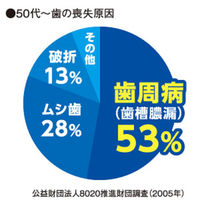 デントヘルス ハブラシ やさしくケア マッサージ やわらかめ 1セット（3本）ライオン 歯ブラシ 歯槽膿漏対策