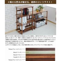 B.Bファニシング YOGEAR ラック 幅850x奥行386x高さ730mm（直送品）