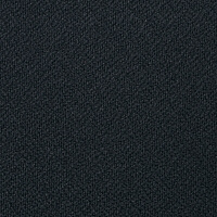 サンワサプライ　スクールチェア　ブラック　SNC-E6BK　（直送品）