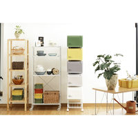 リス　コンテナスタイル　グリーン系　5段　CS3-100 MX4　（直送品）