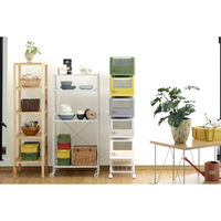 リス　コンテナスタイル　グリーン系　5段　ステンレスフタ付　CS3-100S MX4　（直送品）