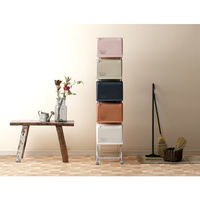 リス　コンテナスタイル　オレンジ系　5段　CS4-100 MX5　（直送品）