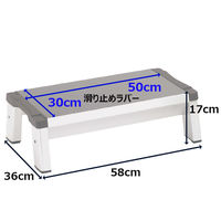 長谷川工業 踏み台　ＳＰＳ2.0ー175 ＳＰＳ２.０-１７５ 1台