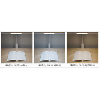 LEDライト（アームタイプ）　TS-A16LEDWH ホワイト 1台　くろがね工作所　（直送品）