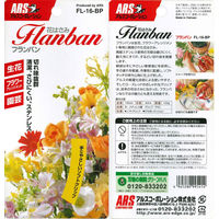 アルスコーポレーション フランバン16 FL-16-BP 1個