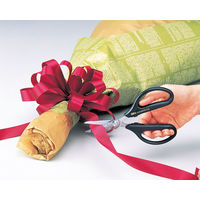 ホビー・クラフト用鋏　アルスヌーボーダブル黒　3100-BK　アルスコーポレーション　（直送品）