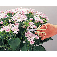 アルスコーポレーション ホビー・クラフト用鋏 プチクラフト 360-T 1個