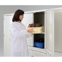 アズワン 薬品トレー グレー 3-5349-41 1セット(5個)（直送品）